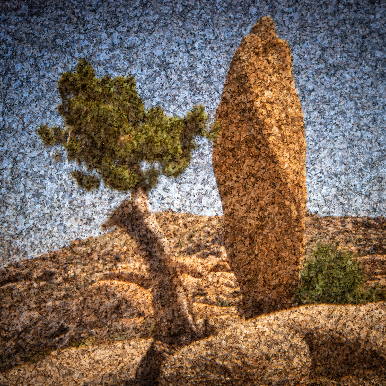Camera Obscura overlaying monolith rock and Juniper tree on rock surface.
